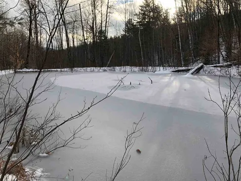 1009 Stone Chimney Road Reading VT 05062
