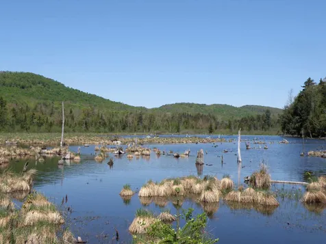 0 Deep Gibou Road Montgomery VT 05471