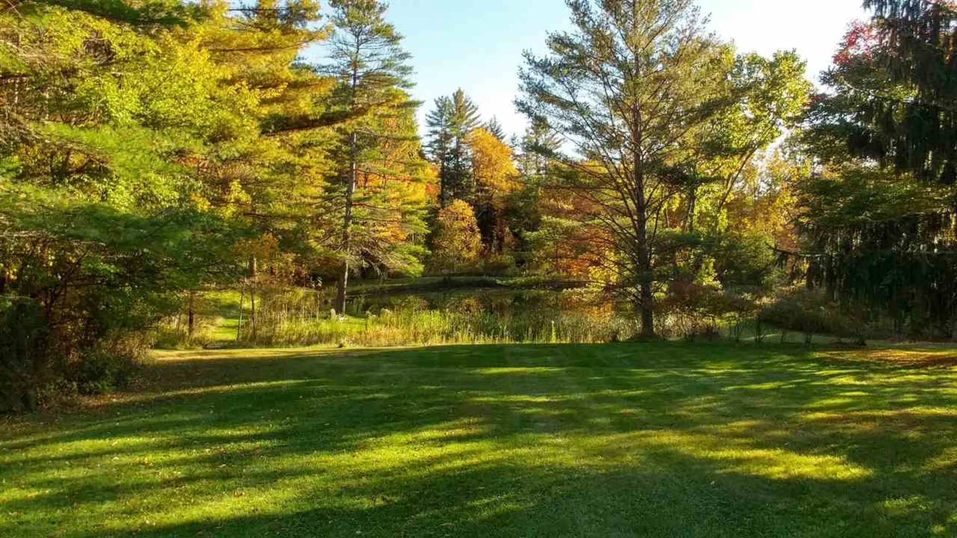 2166 Godfrey Road Thetford VT 05043