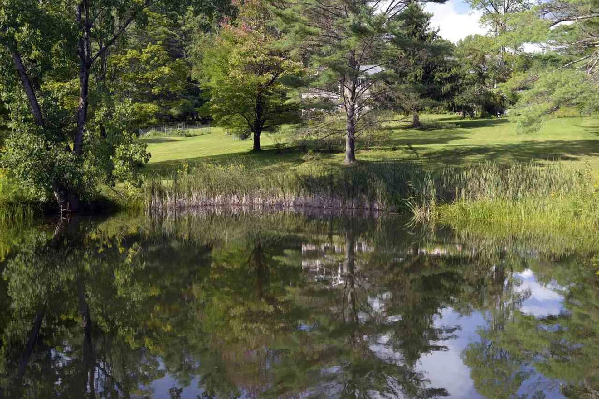 2166 Godfrey Road Thetford VT 05043