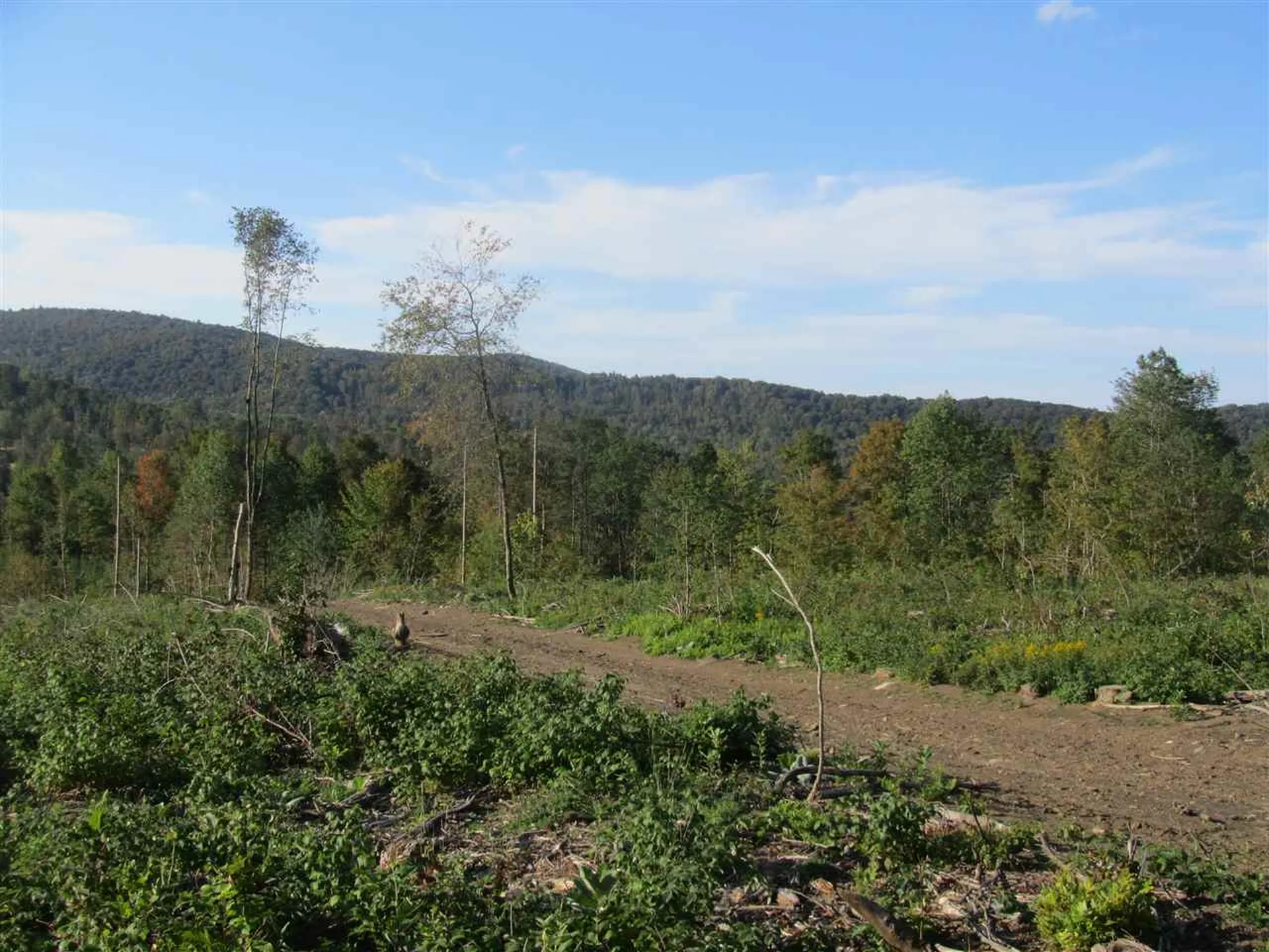 0 Vershire Center Road Chelsea VT 05038
