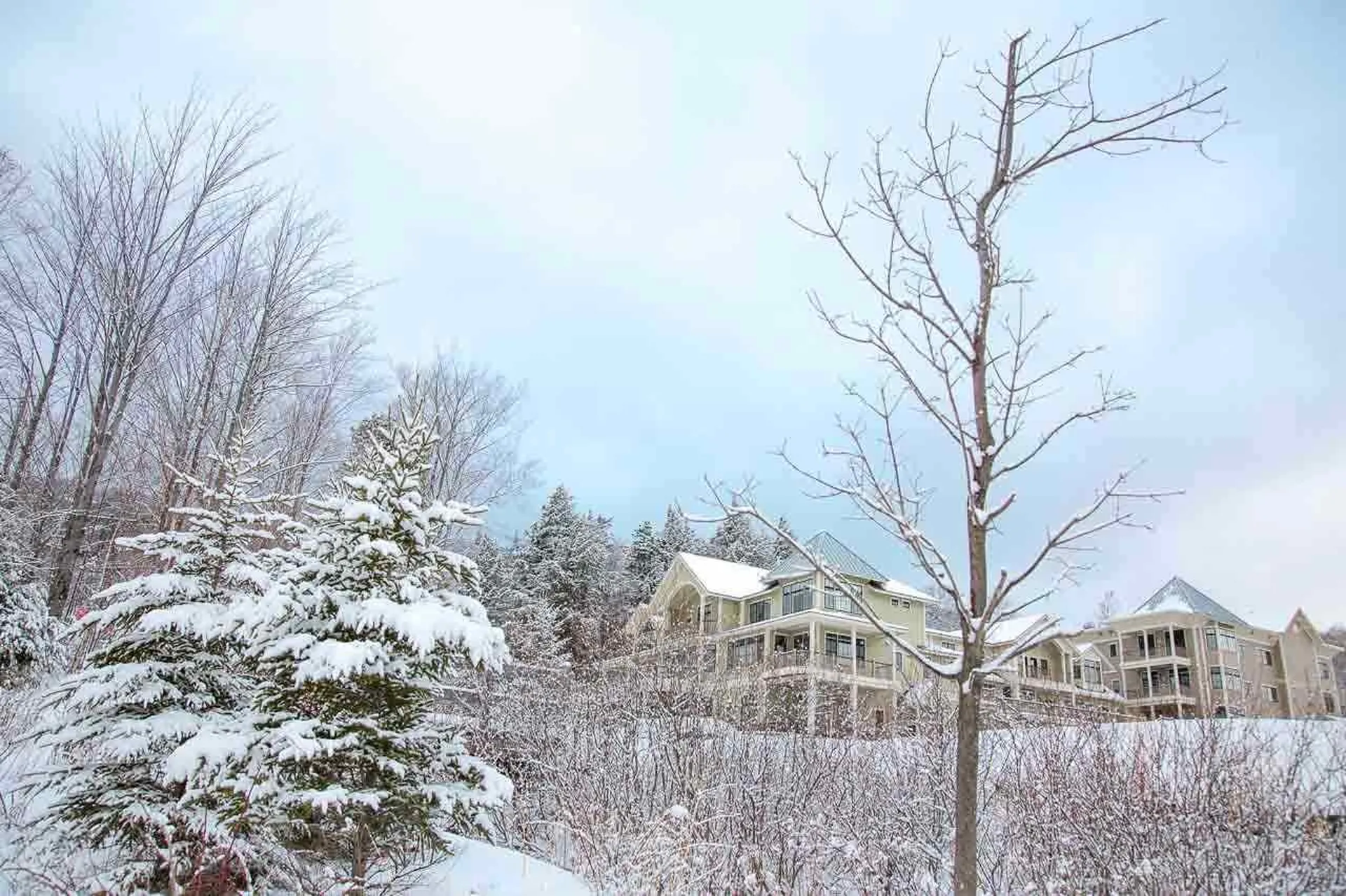Rb9 Rice Brook Drive Warren VT 05674