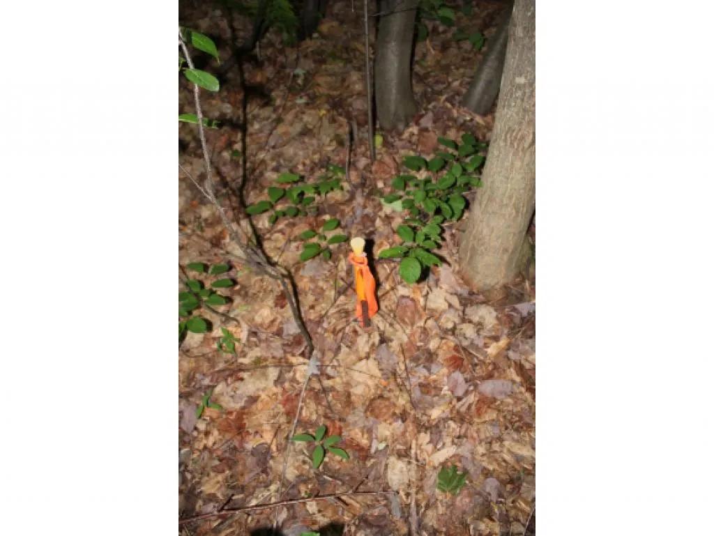 Lot 2 Morin Drive Jay VT 05859