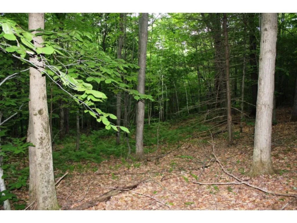 Lot 2 Morin Drive Jay VT 05859