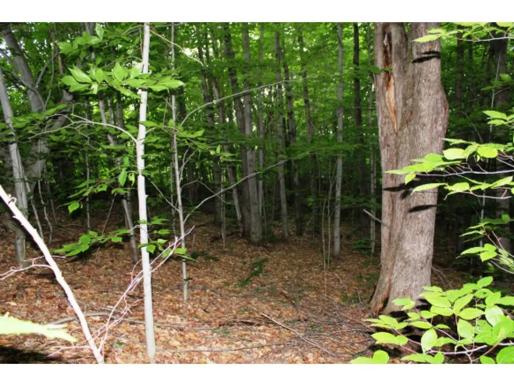 Lot 2 Morin Drive Jay VT 05859