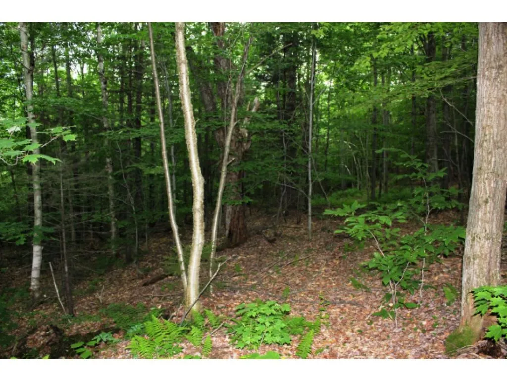 Lot 2 Morin Drive Jay VT 05859