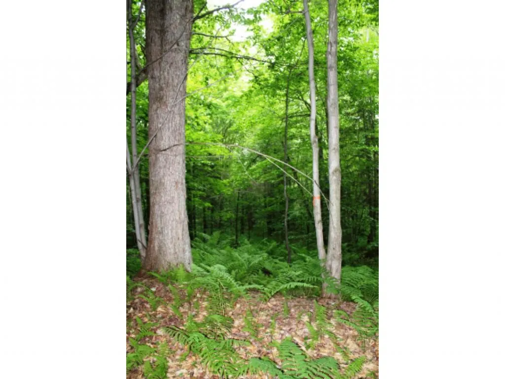Lot 2 Morin Drive Jay VT 05859