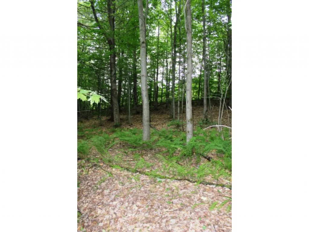 Lot 2 Morin Drive Jay VT 05859