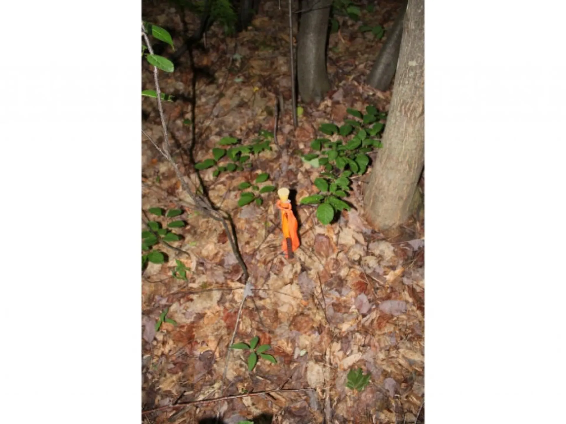 Lot 2 Morin Drive Jay VT 05859