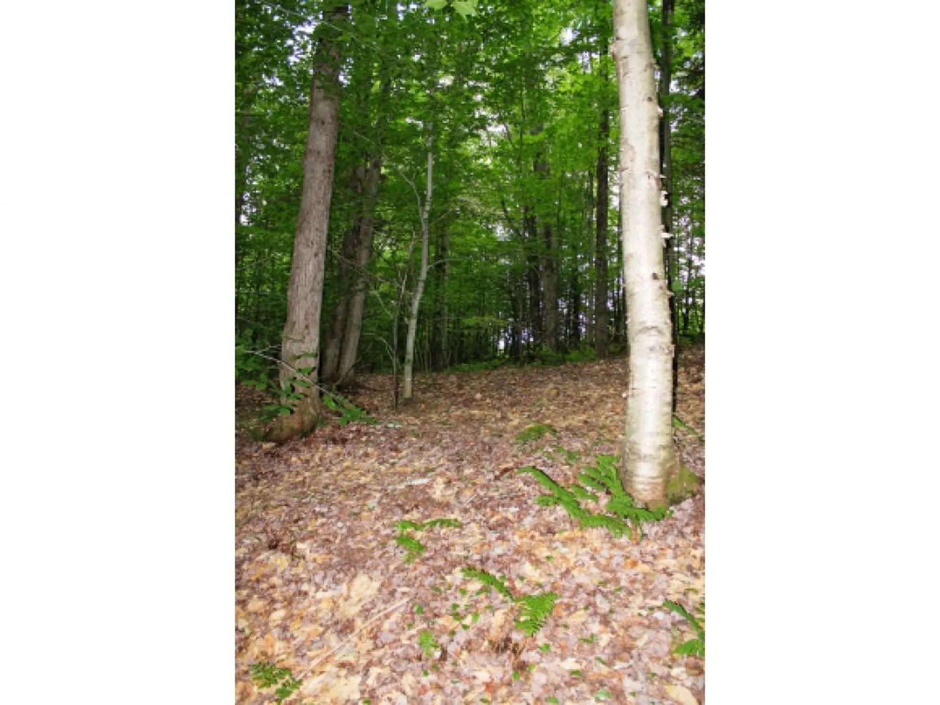 Lot 2 Morin Drive Jay VT 05859