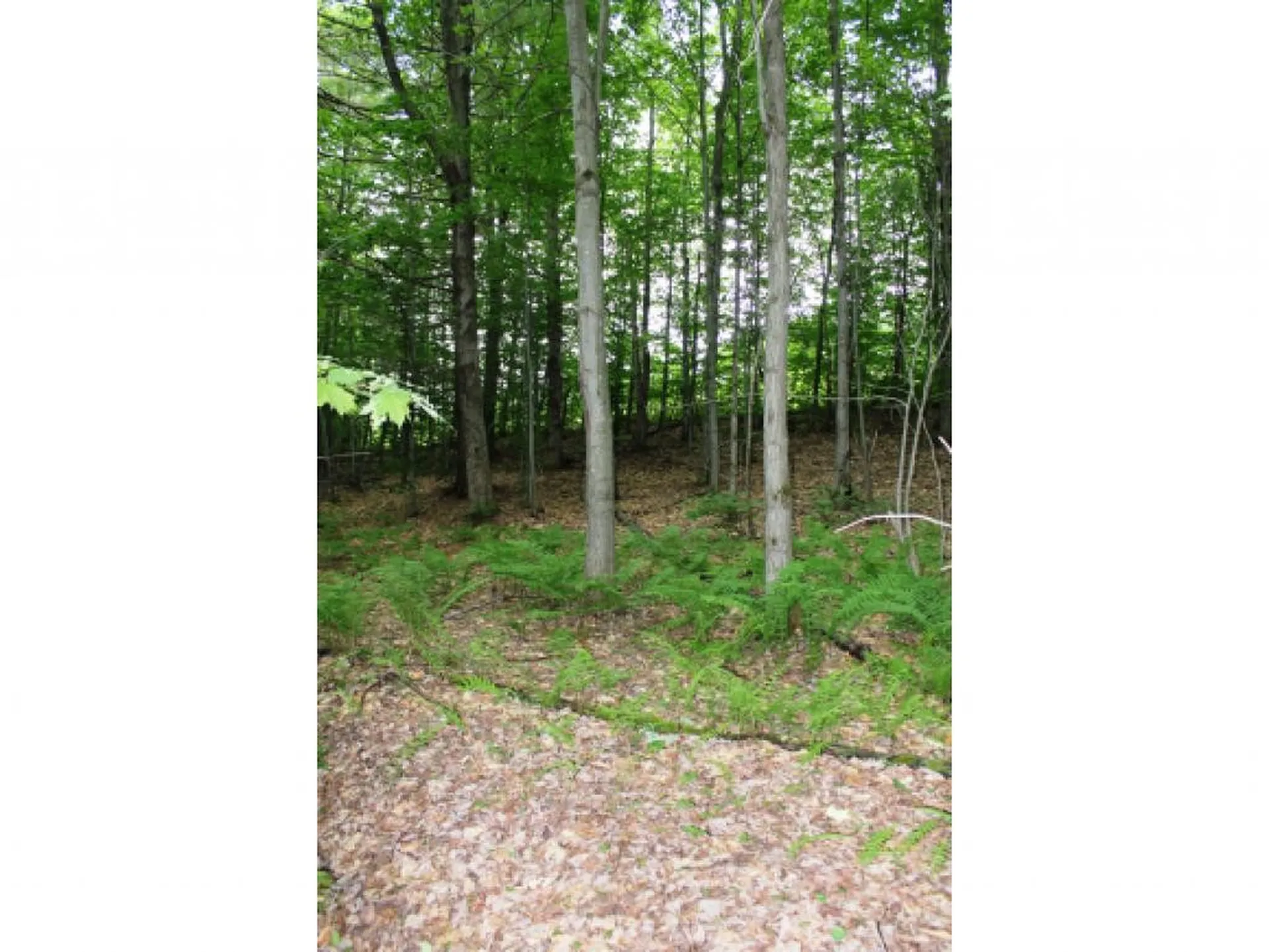 Lot 2 Morin Drive Jay VT 05859