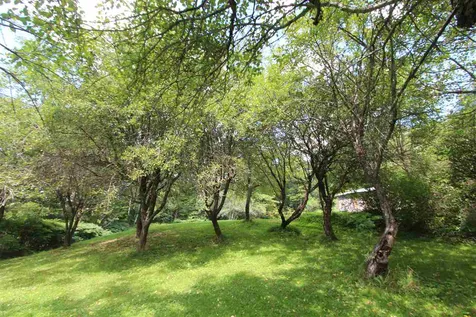 591 Morses Mill Road Danville VT 05828