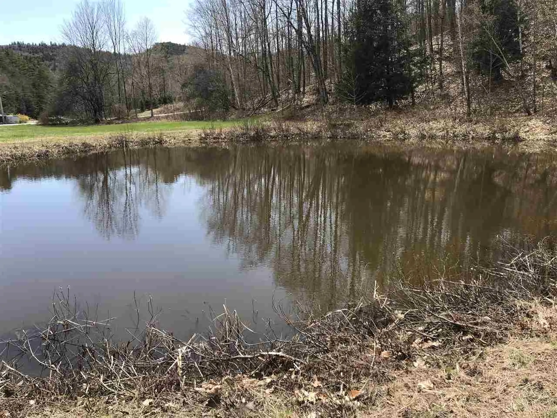 47 Balch Road Chester VT 05143