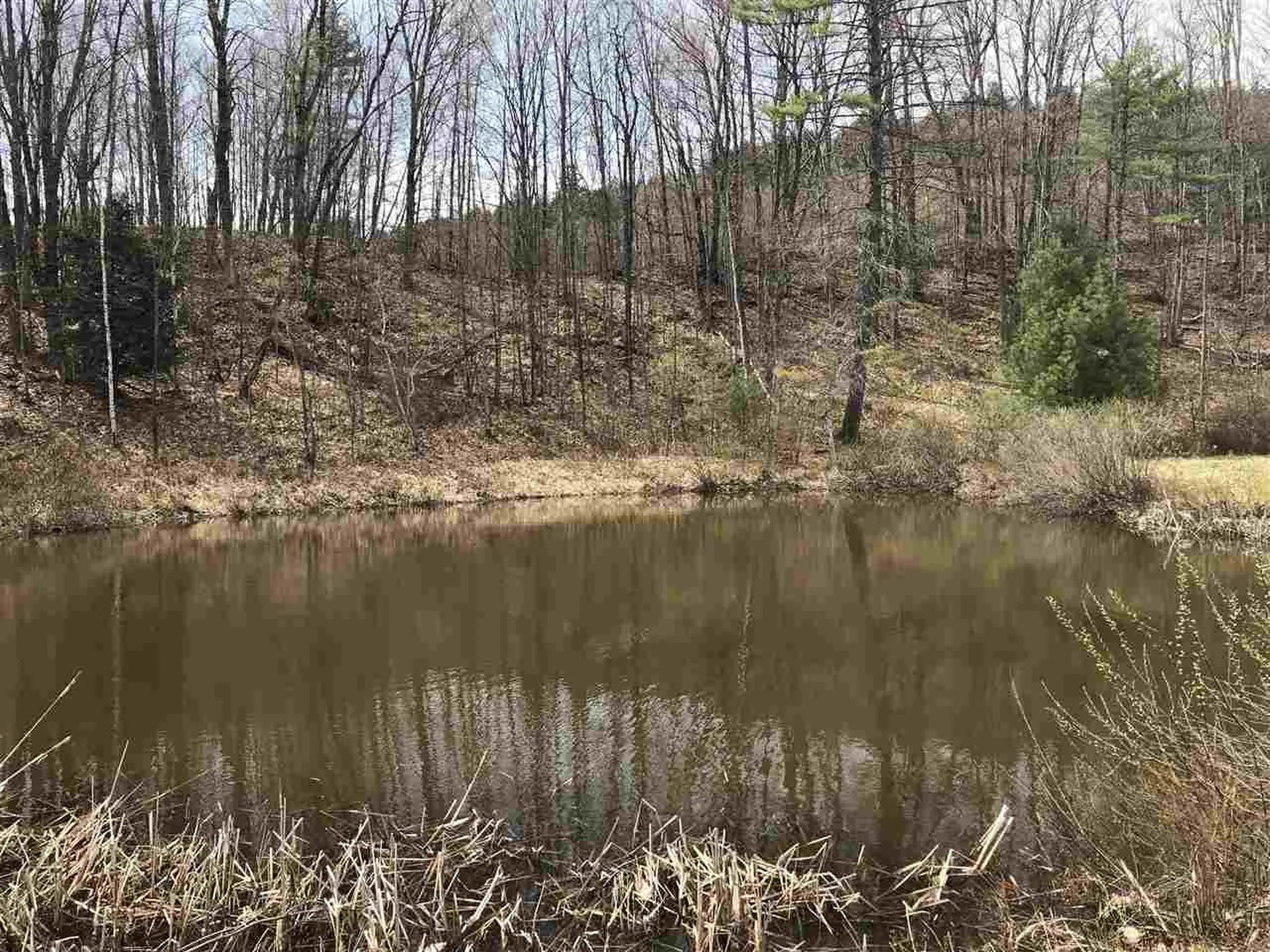 47 Balch Road Chester VT 05143