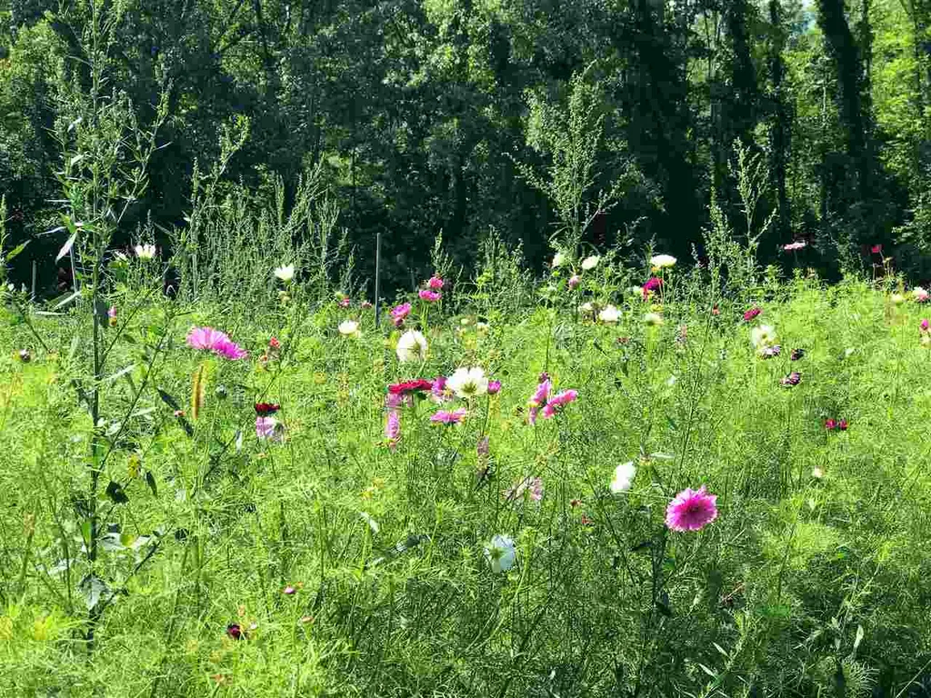 1456 River Road Arlington VT 05250