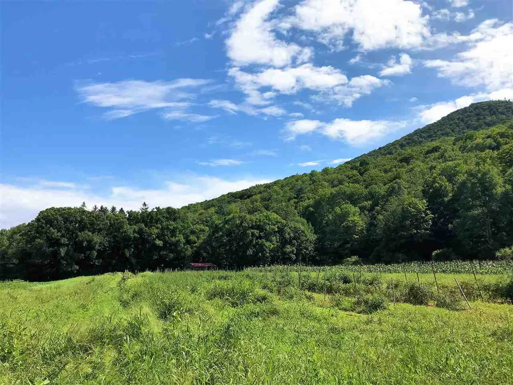 1456 River Road Arlington VT 05250