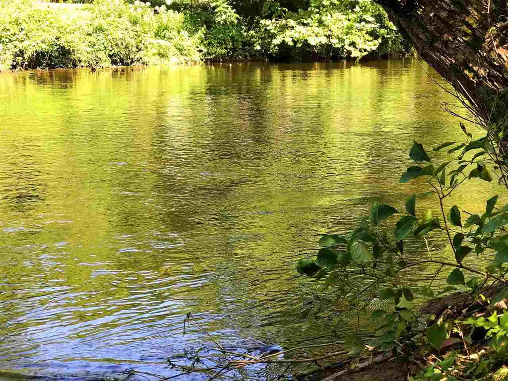 1456 River Road Arlington VT 05250