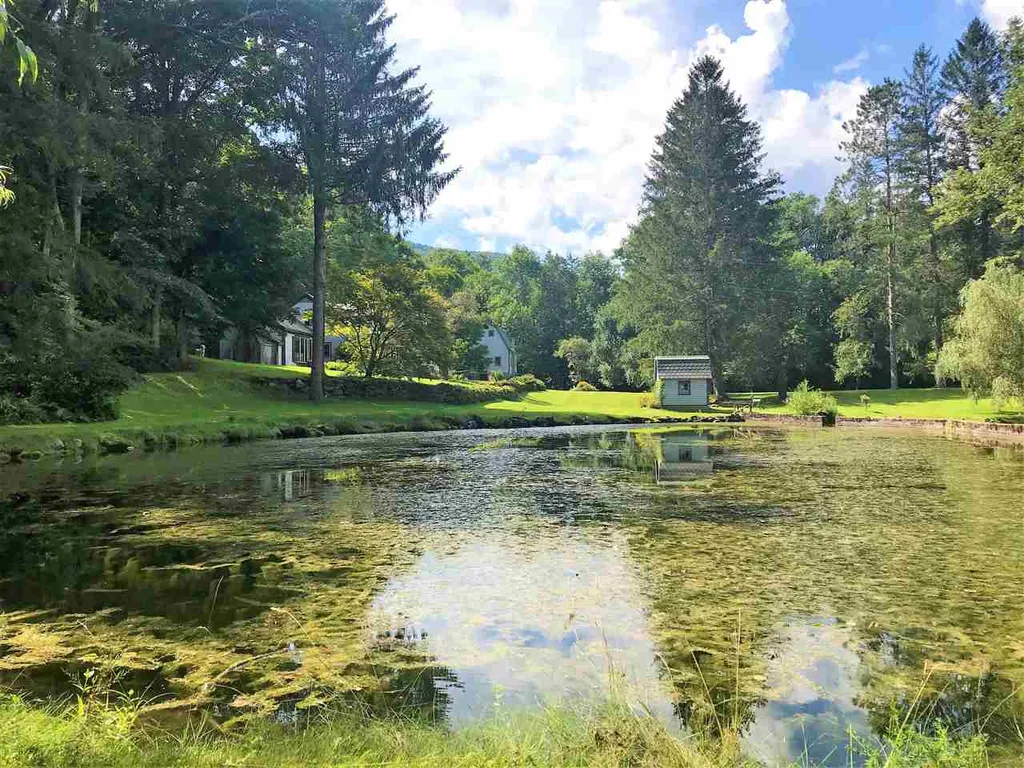 1456 River Road Arlington VT 05250