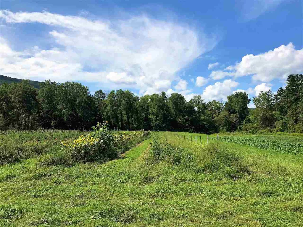 1456 River Road Arlington VT 05250