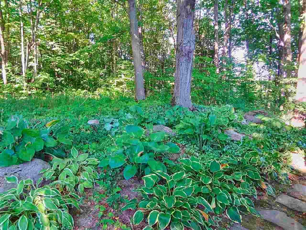 2015 Dorset Street Charlotte VT 05445