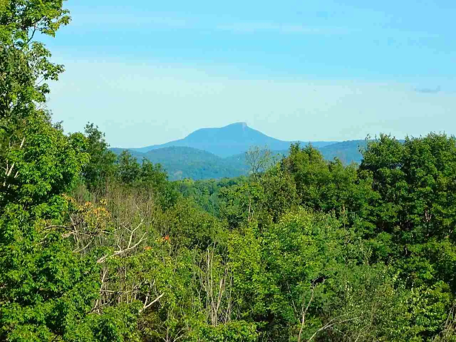 2015 Dorset Street Charlotte VT 05445