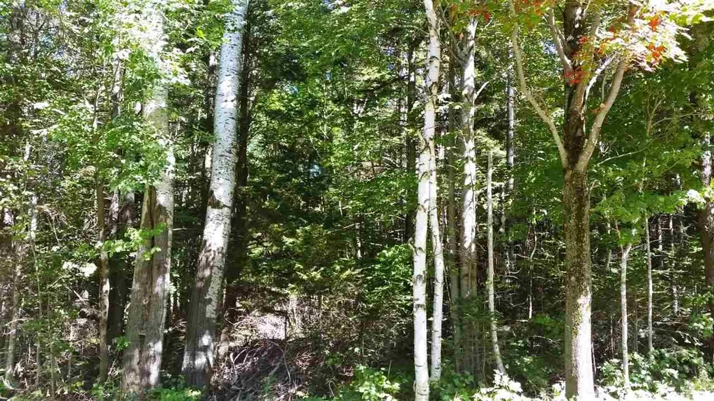 0 Mayhew Road Jay VT 05859