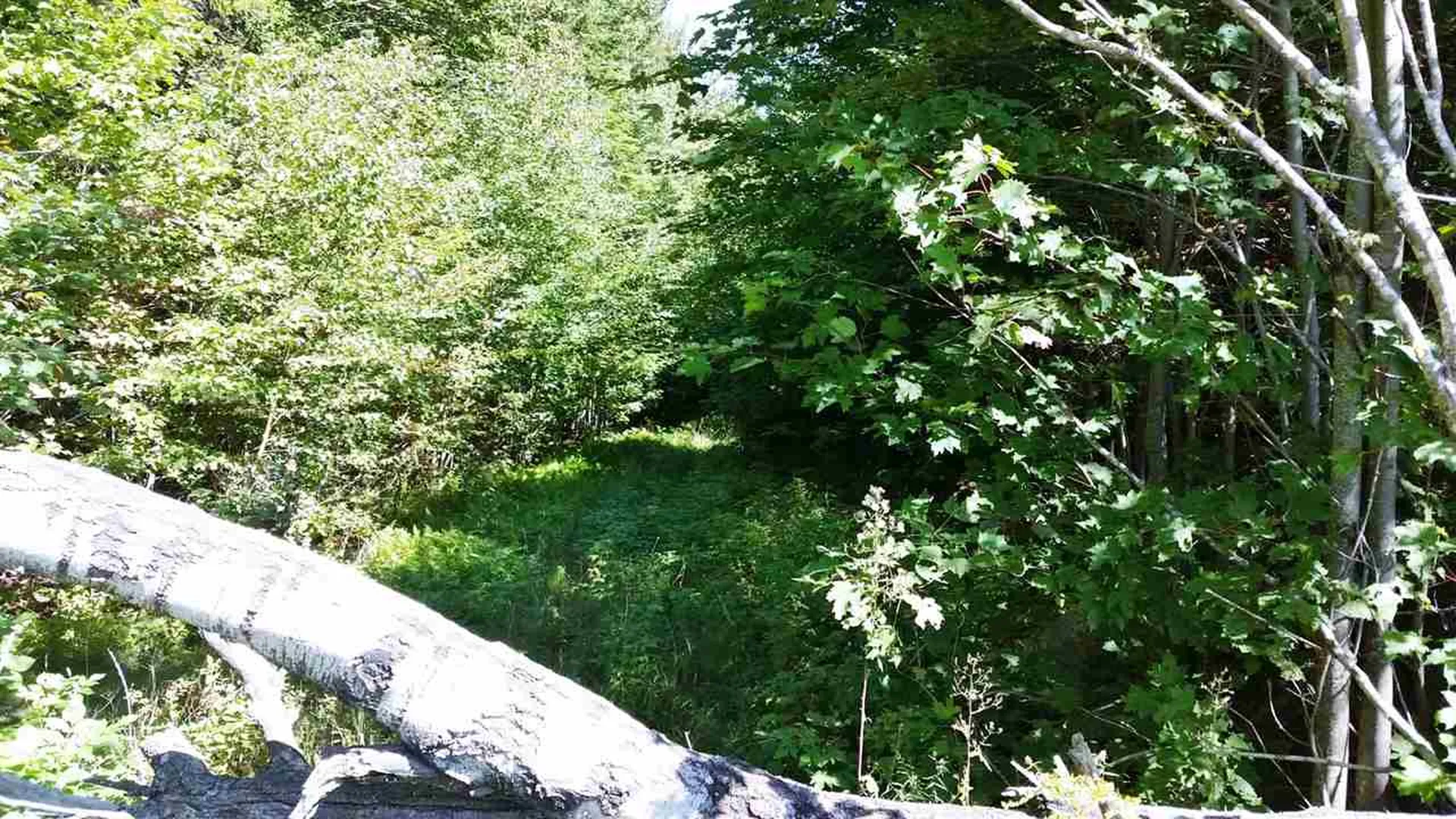 0 Mayhew Road Jay VT 05859