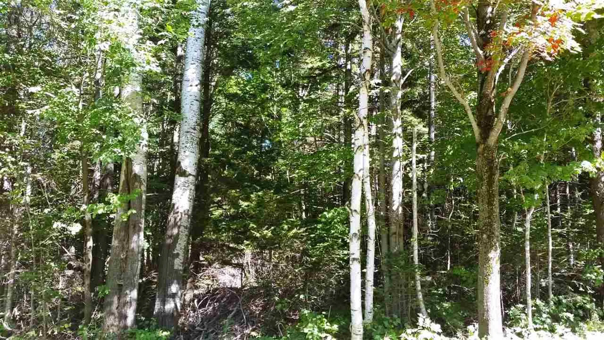 0 Mayhew Road Jay VT 05859