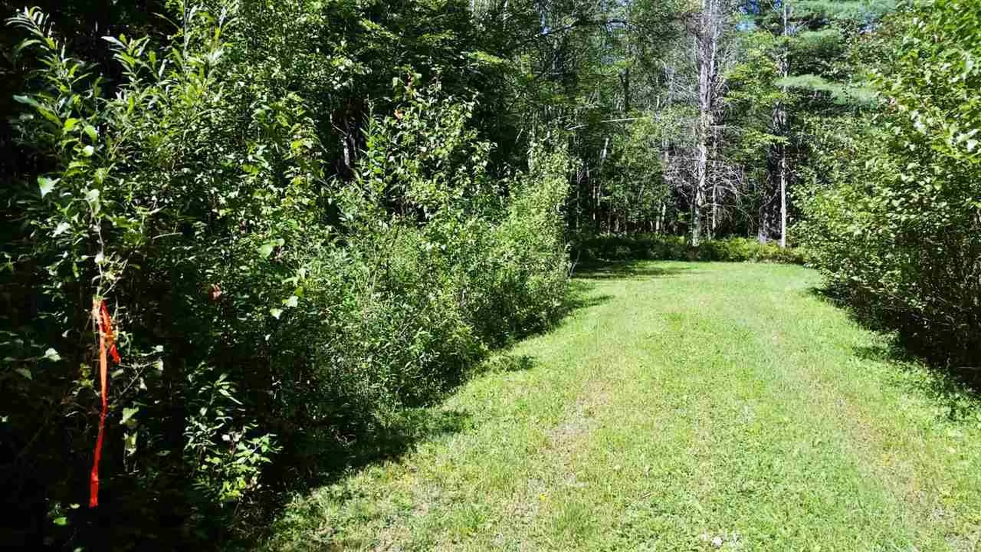 0 Mayhew Road Jay VT 05859