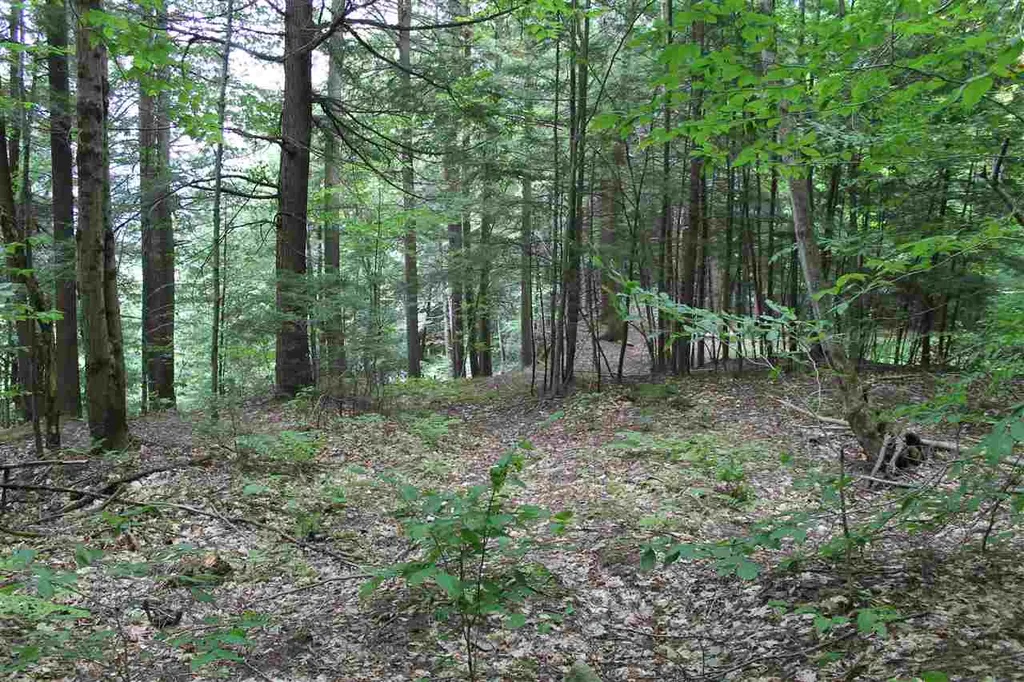 Lot 12-013 Vulture Mountain Road Stockbridge VT 05772