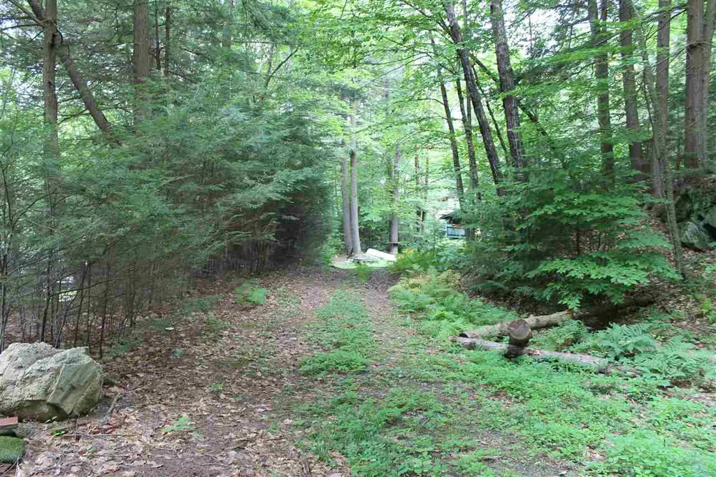 Lot 12-013 Vulture Mountain Road Stockbridge VT 05772