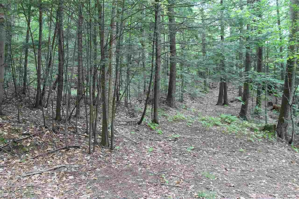 Lot 12-013 Vulture Mountain Road Stockbridge VT 05772