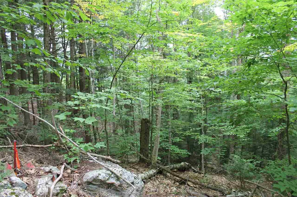 Lot 12-013 Vulture Mountain Road Stockbridge VT 05772