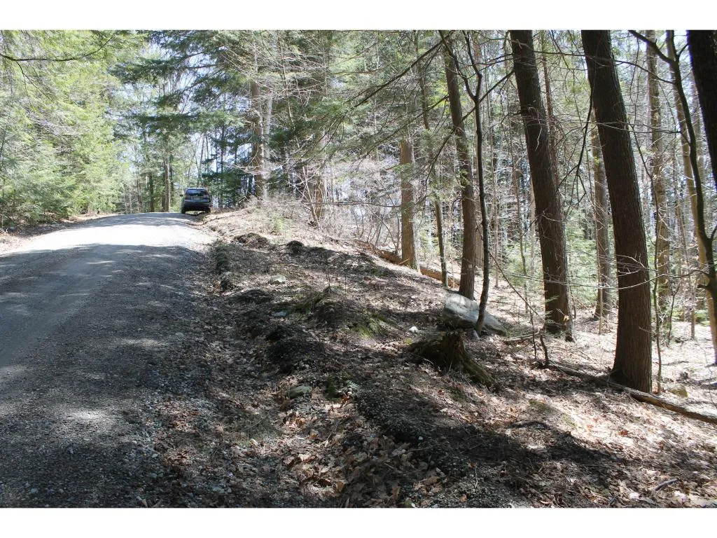Lot 12-013 Vulture Mountain Road Stockbridge VT 05772