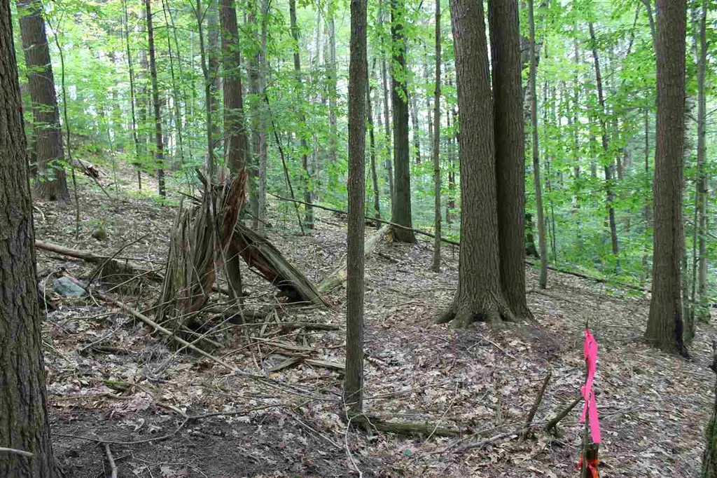 Lot 12-013 Vulture Mountain Road Stockbridge VT 05772