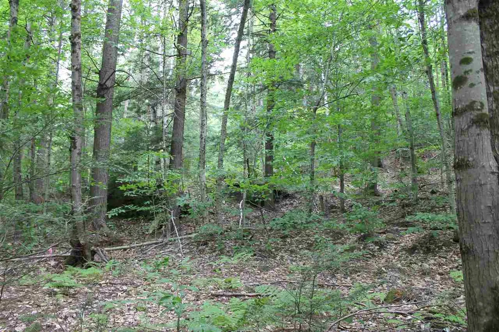 Lot 12-013 Vulture Mountain Road Stockbridge VT 05772