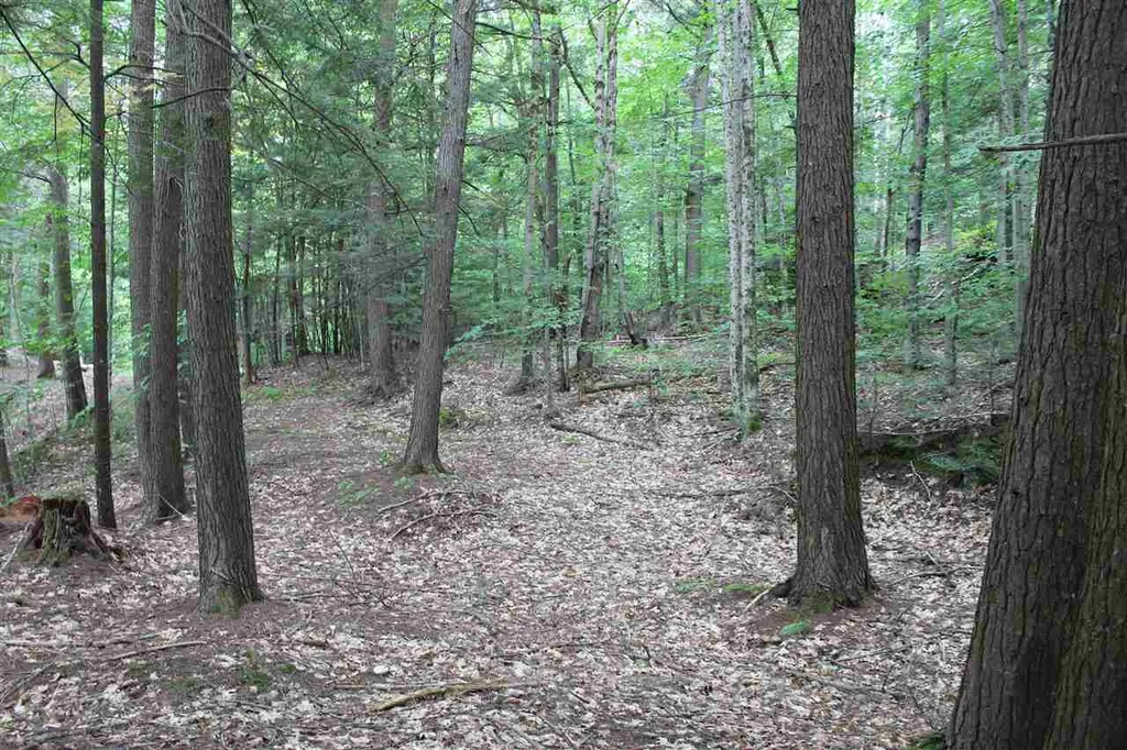 Lot 12-013 Vulture Mountain Road Stockbridge VT 05772