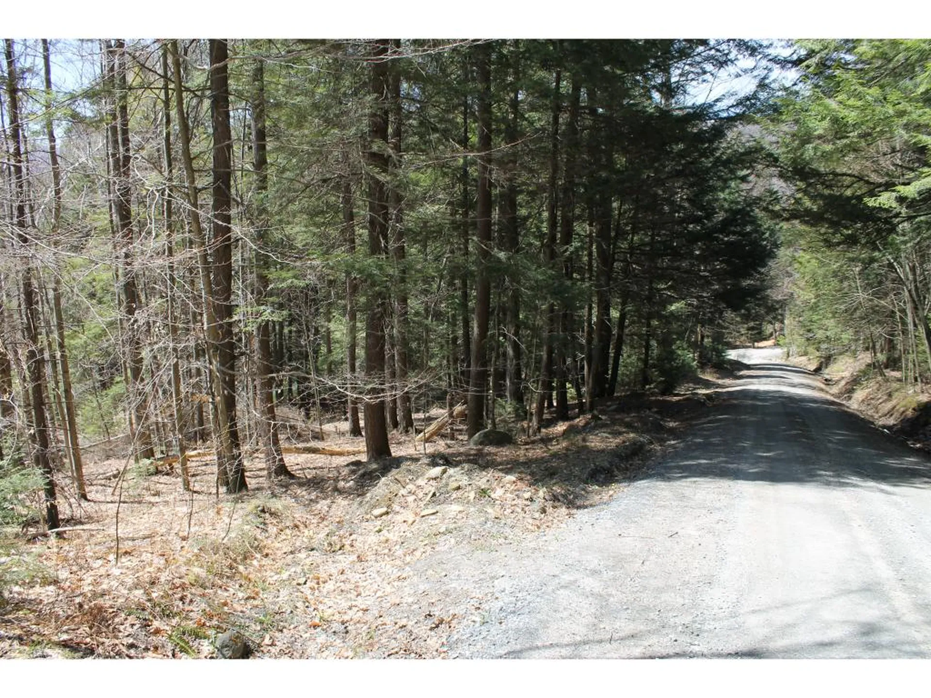 Lot 12-013 Vulture Mountain Road Stockbridge VT 05772