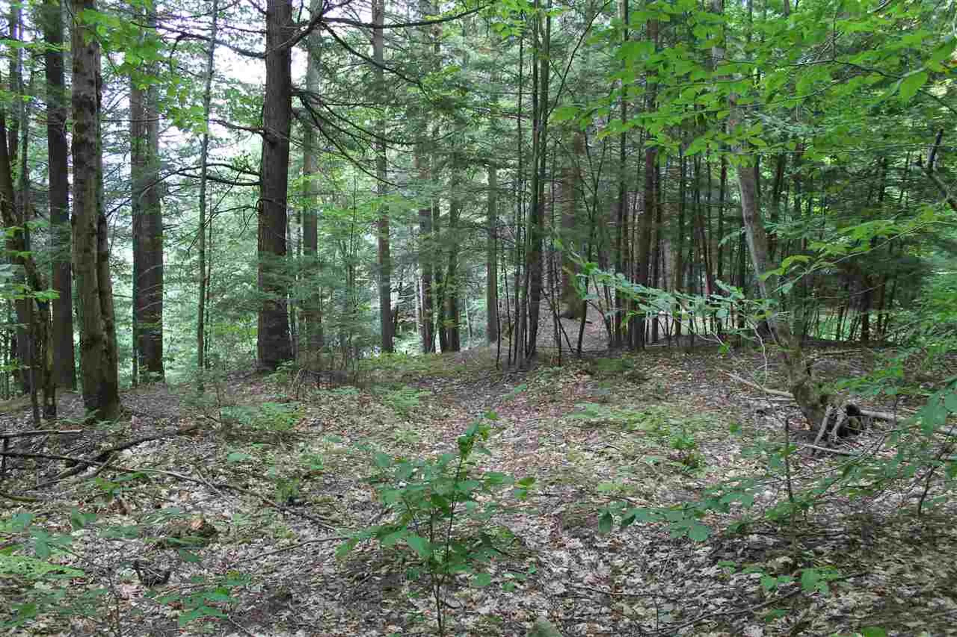 Lot 12-013 Vulture Mountain Road Stockbridge VT 05772