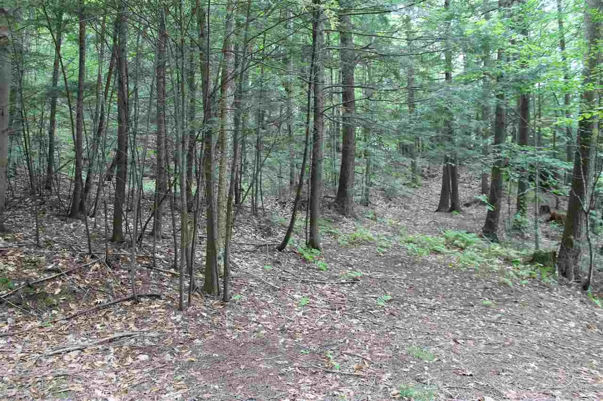 Lot 12-013 Vulture Mountain Road Stockbridge VT 05772