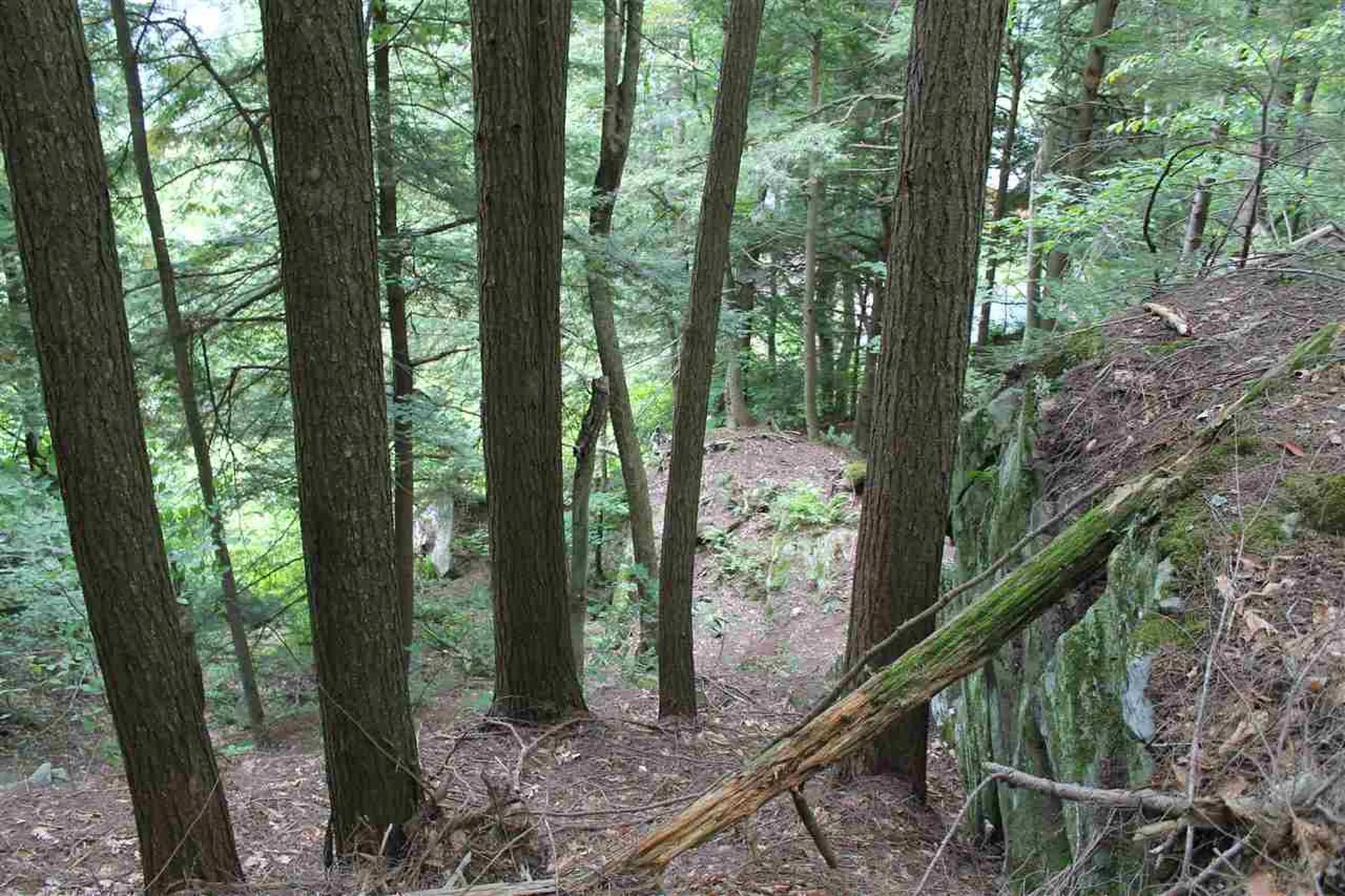 Lot 12-013 Vulture Mountain Road Stockbridge VT 05772