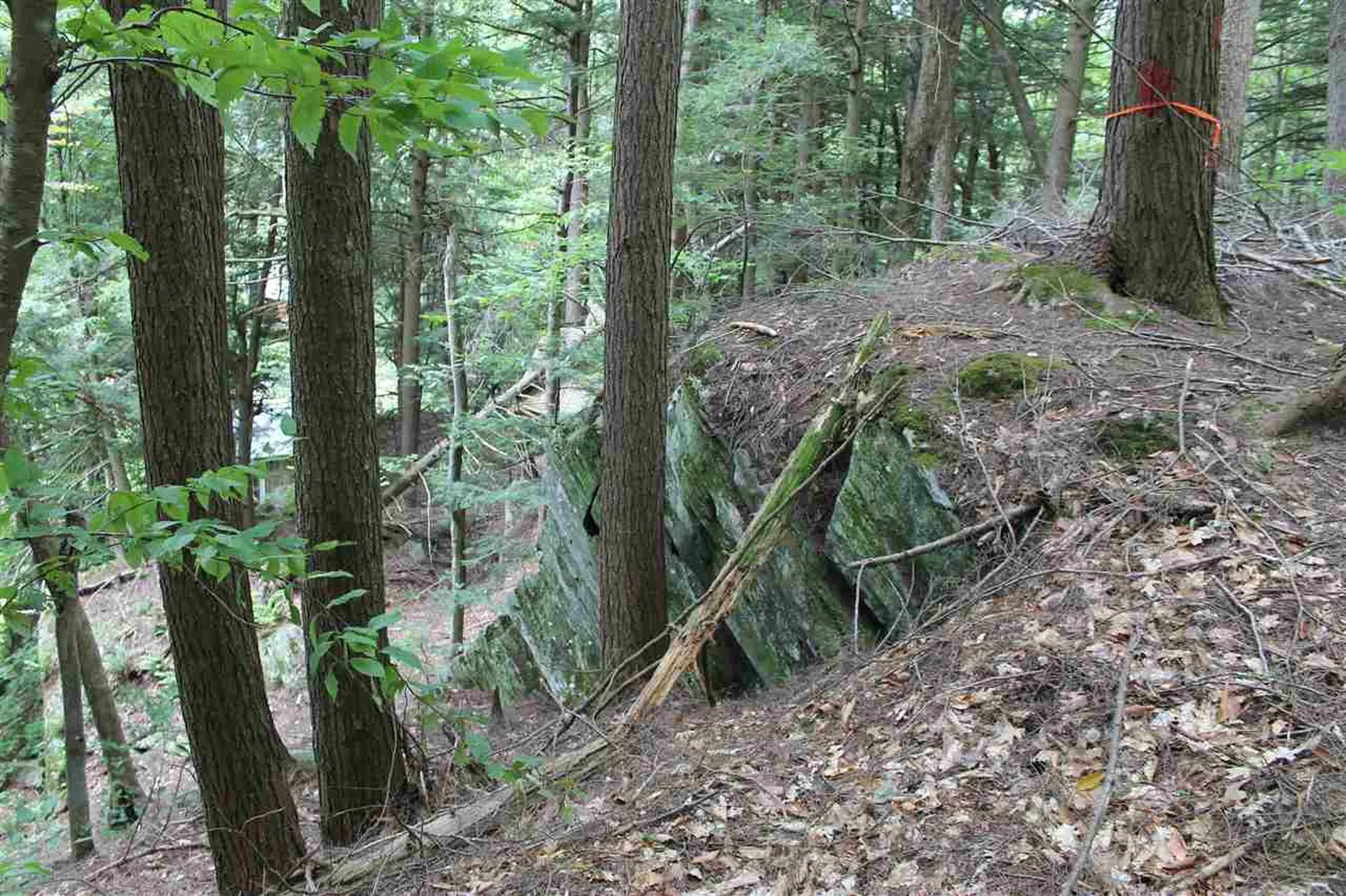 Lot 12-013 Vulture Mountain Road Stockbridge VT 05772