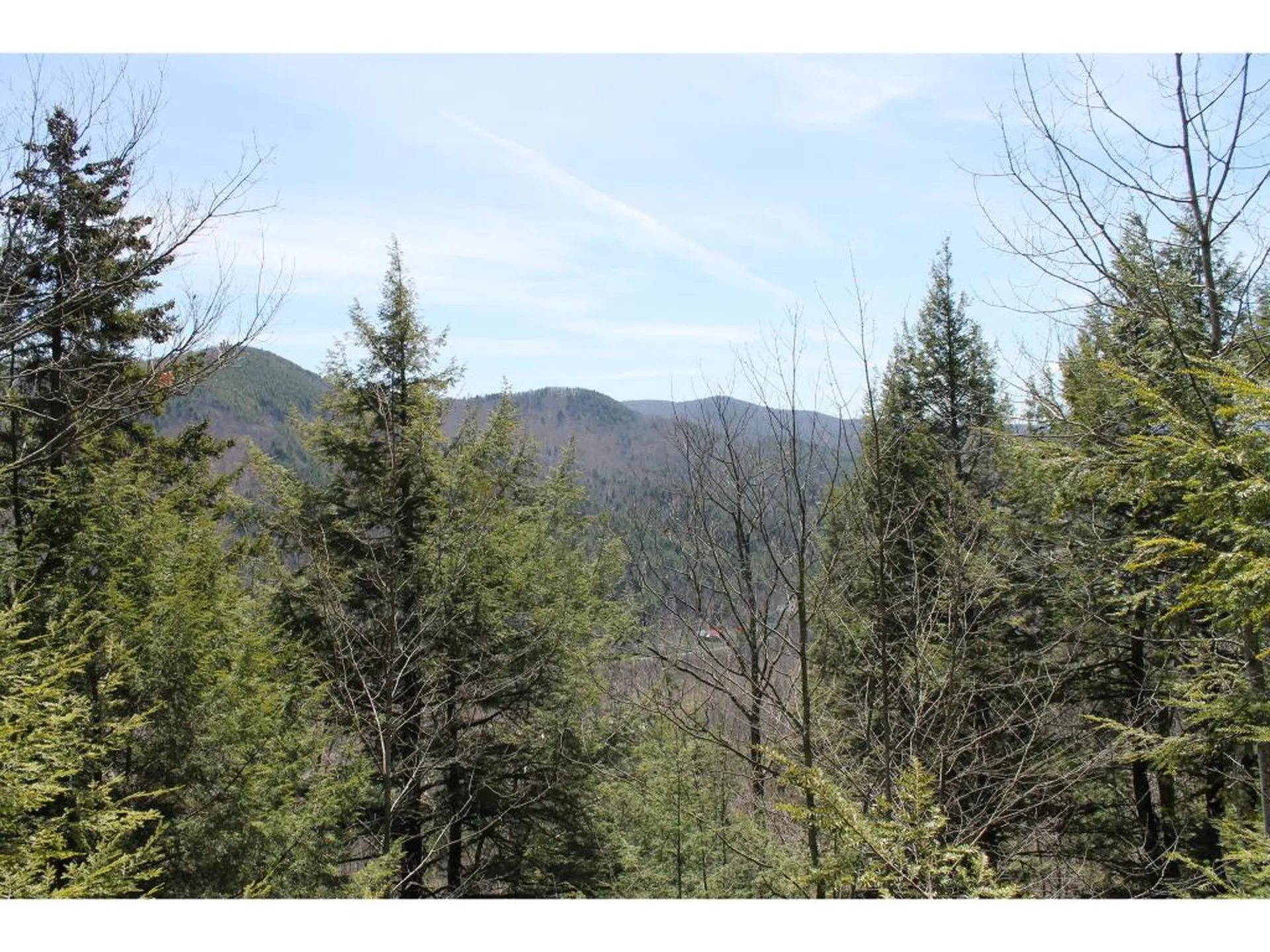 Lot 12-013 Vulture Mountain Road Stockbridge VT 05772