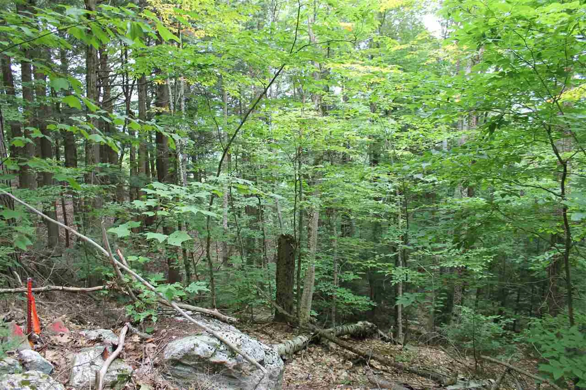 Lot 12-013 Vulture Mountain Road Stockbridge VT 05772