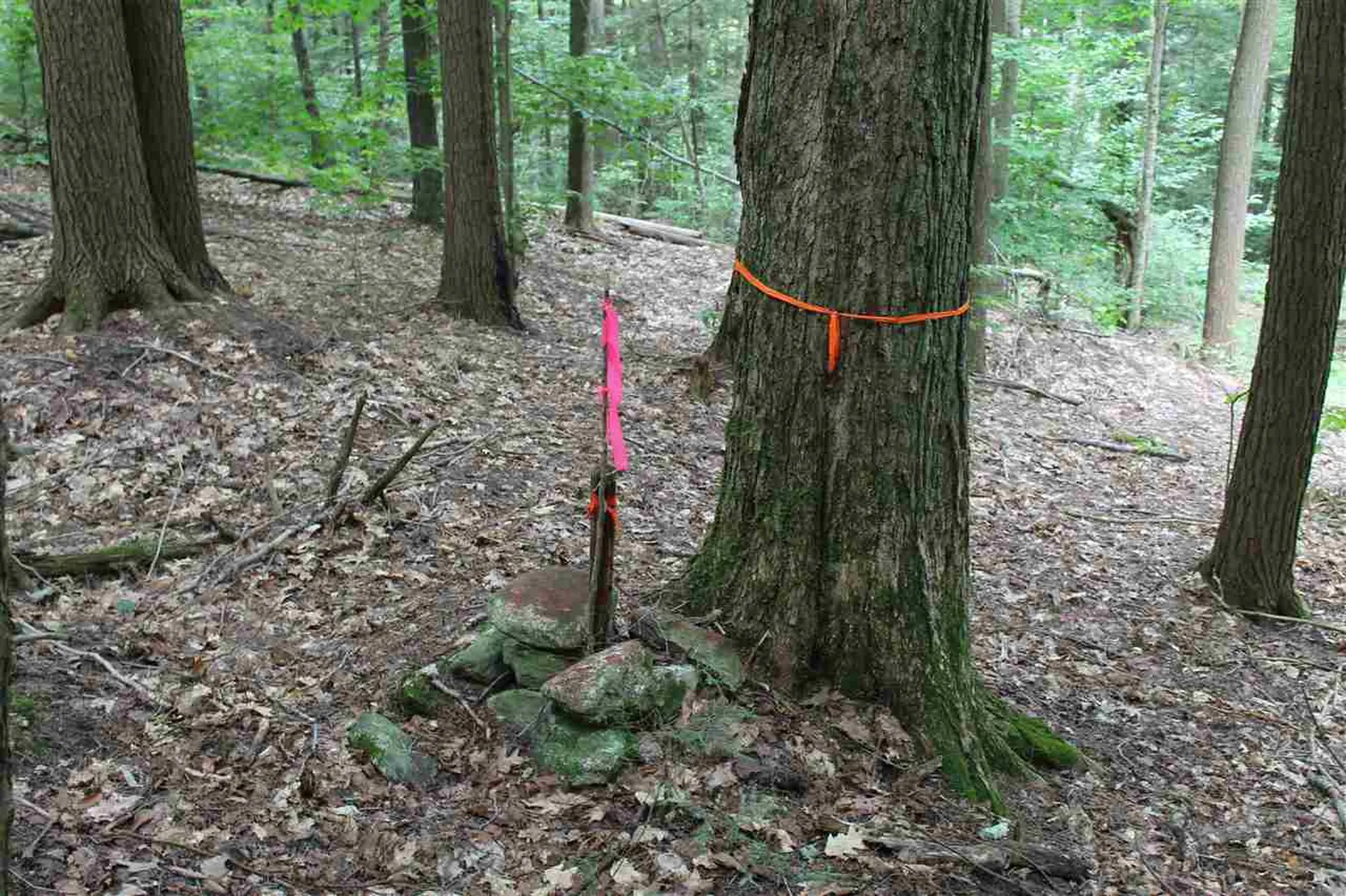 Lot 12-013 Vulture Mountain Road Stockbridge VT 05772
