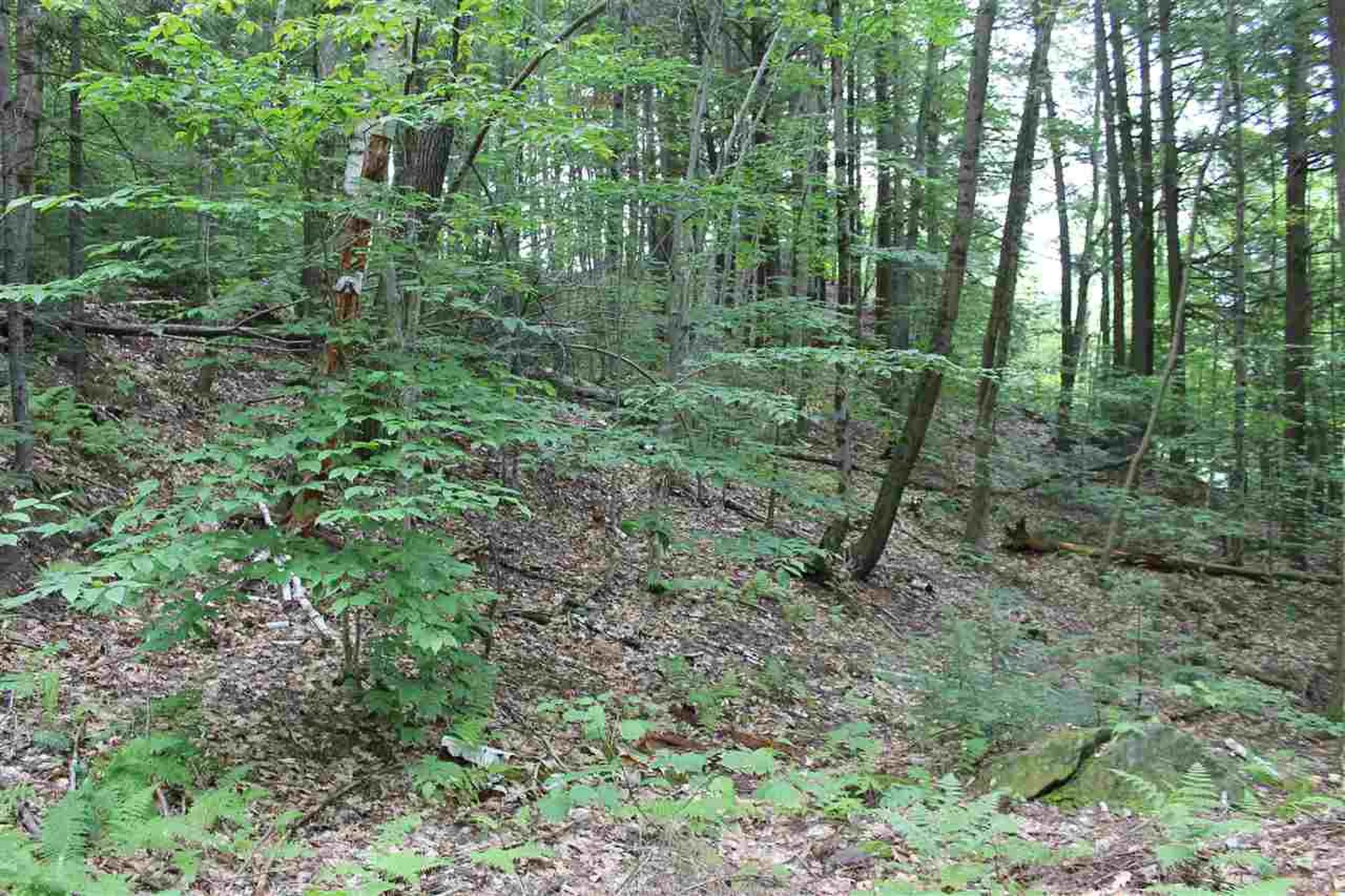 Lot 12-013 Vulture Mountain Road Stockbridge VT 05772