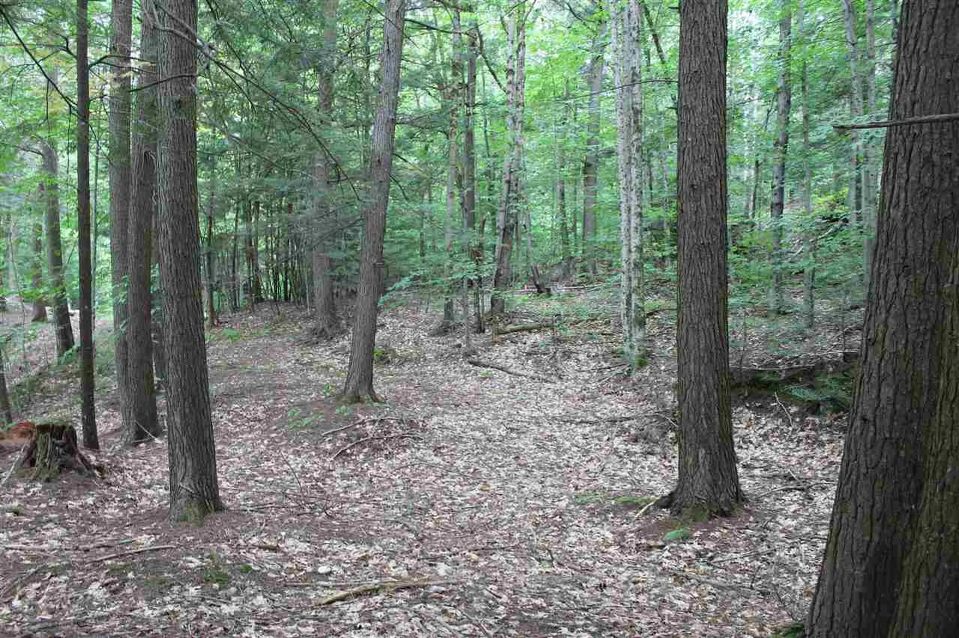 Lot 12-013 Vulture Mountain Road Stockbridge VT 05772