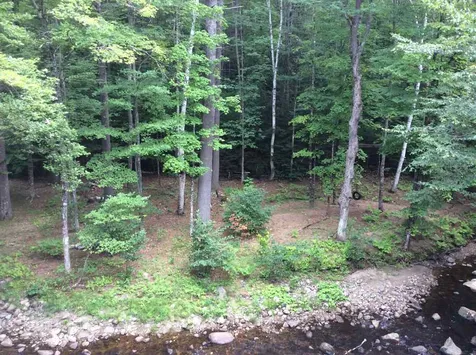 30 Millbrook Road Grafton NH 03240