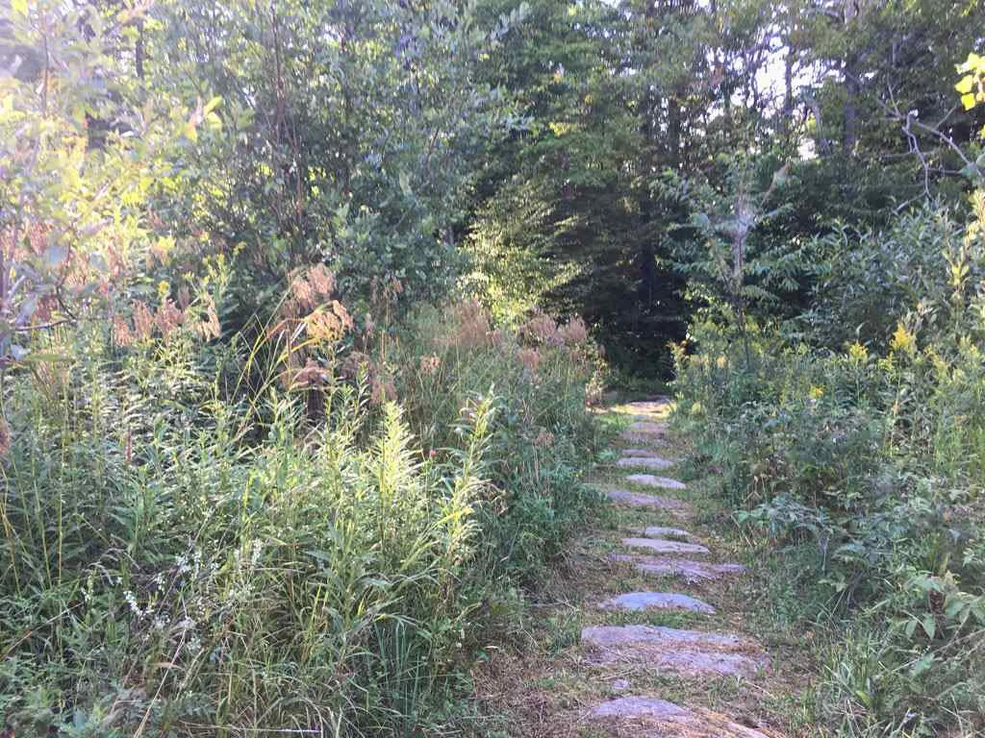 663 Carse Road Huntington VT 05462