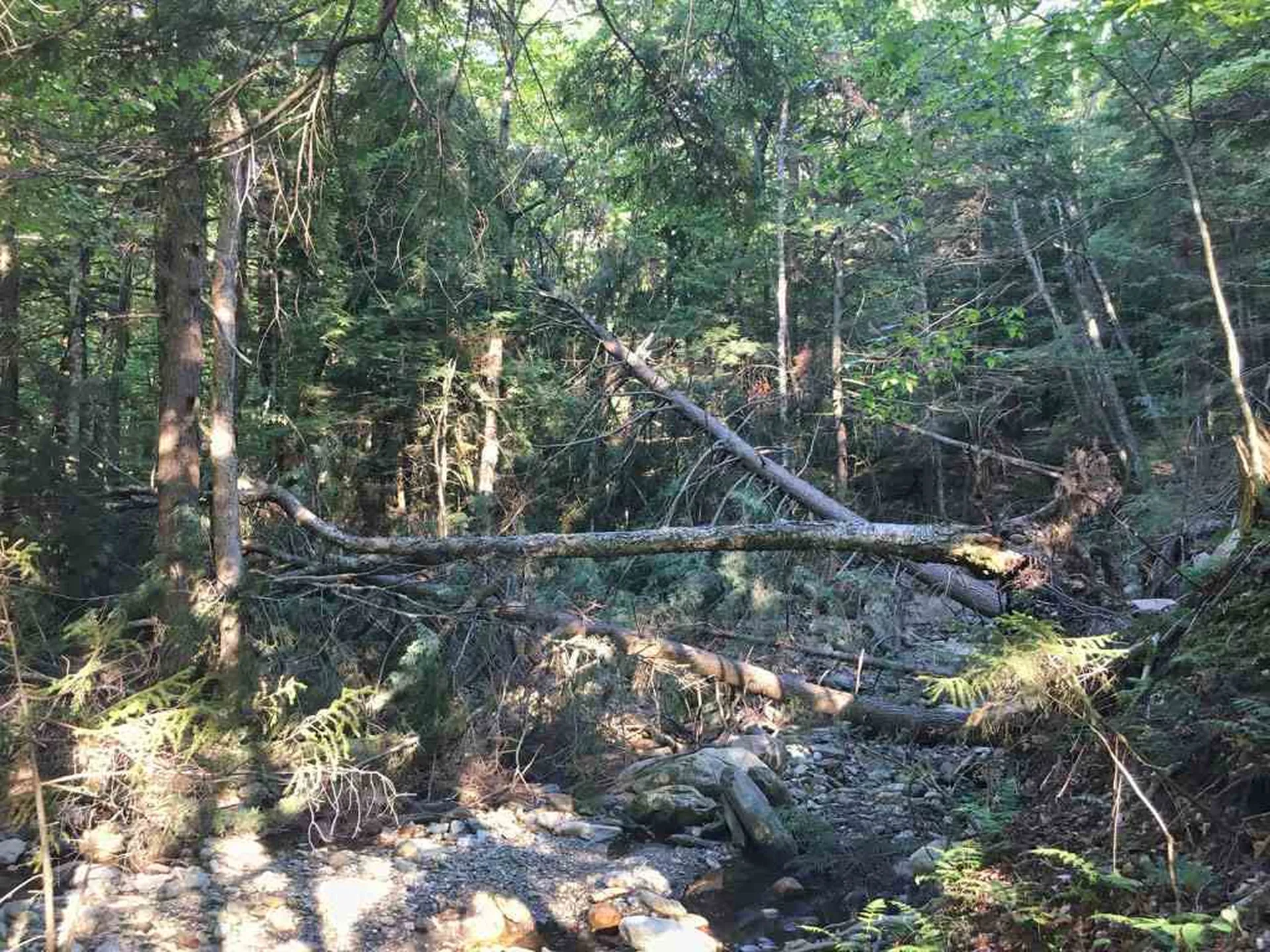 663 Carse Road Huntington VT 05462